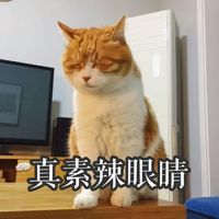 Ը��ʼ����һ ���ཿɰ�С����ͷ