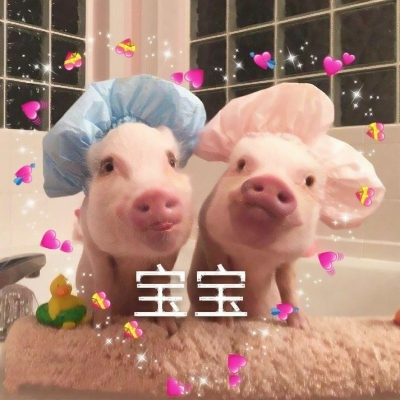 ����һͷ���� �����������