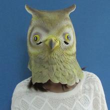 �����̵�����_������ˬ������ͷ��