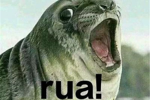 ruaʲôʲô˼ ruaŮ˵˼ͬ