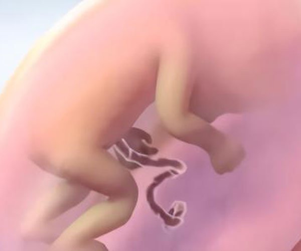 Ůֳ ʥʹʹĲҪ˵ô