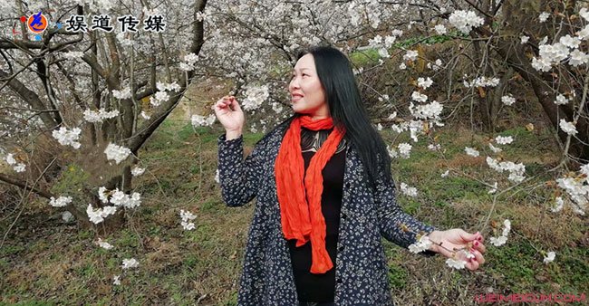 「当代女诗人」娱道文化战“疫”|中国当代女诗人战疫情·诗歌篇