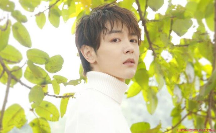 ����ҫΪʲô���� ��¶����Ե�ɼ���������ϱ���