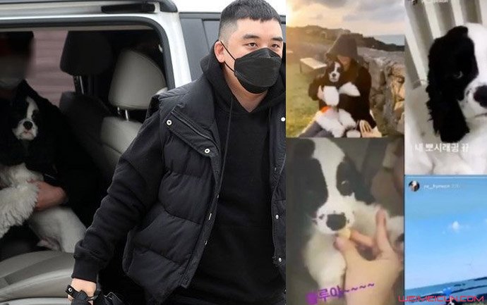 ��������ʤ���ξ� �������������������������ع�