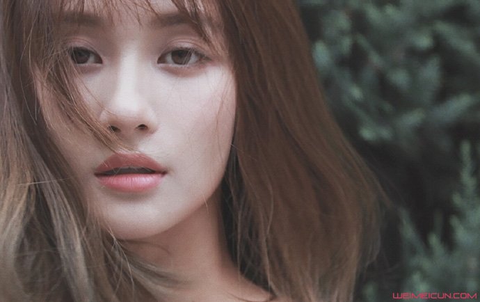 �������������� ��ʵ���估ԭ���������⴫�������