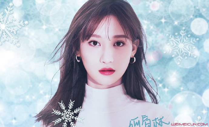 �������������� ��ʵ���估ԭ���������⴫�������