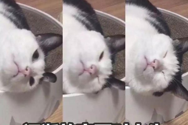 ������Ů��ʮ��������Ϊ ���������޷�����Խ���˻�ӭ