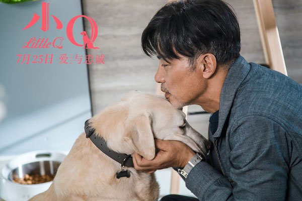 任达华中山被刺 凶手没仇伤没事不追究责任