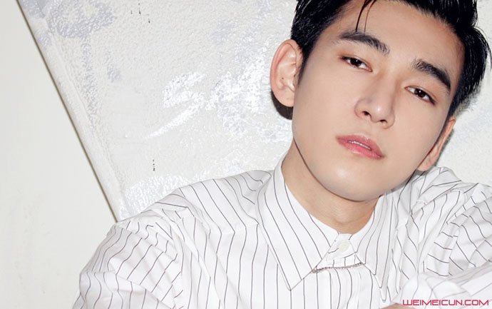 ��Ҷ�������� ������ײ����ϸ���ϼ�Ů������ע