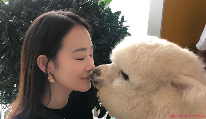 ��Ԩ�۶������ ��ϸ���ϱ��������ǻ��ڵ�ѧ��