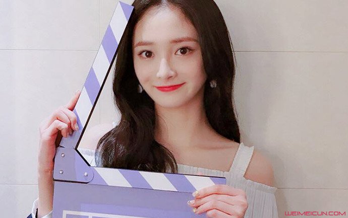 Pledis�����ܽ��� �ܽ���������ԭ���Լ������ع�