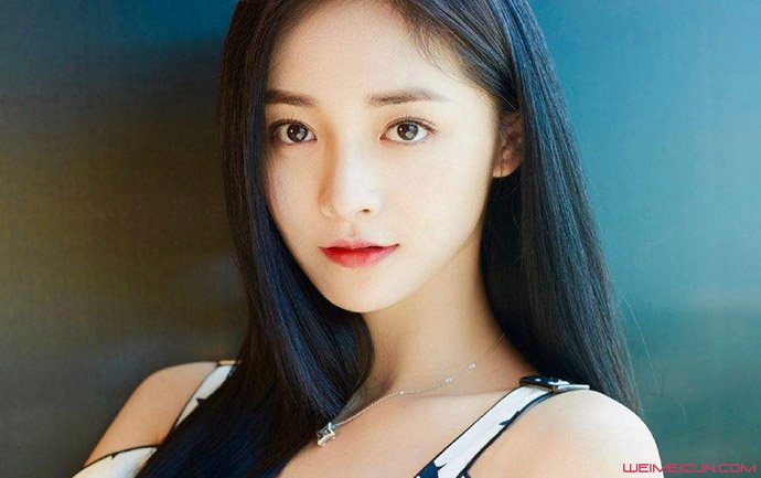 Pledis�����ܽ��� �ܽ���������ԭ���Լ������ع�