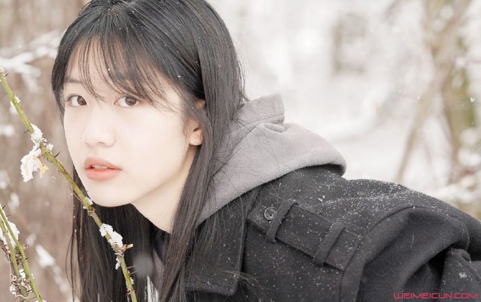 ��֮�쾲�ٹ�ϵ ��֮��ͥ��������������ʲô��ͷ