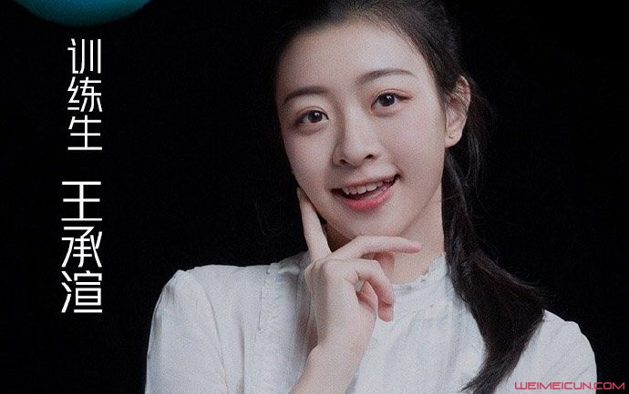 �����ָ������� ��ʵ���������鱻��Cλ��ԭ������