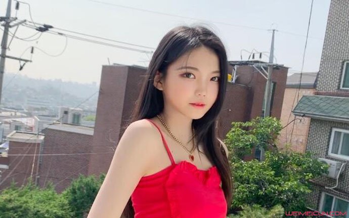 ���������ĸ���˾�� ��ϸ���ϼ�������ԭ�򱻰�