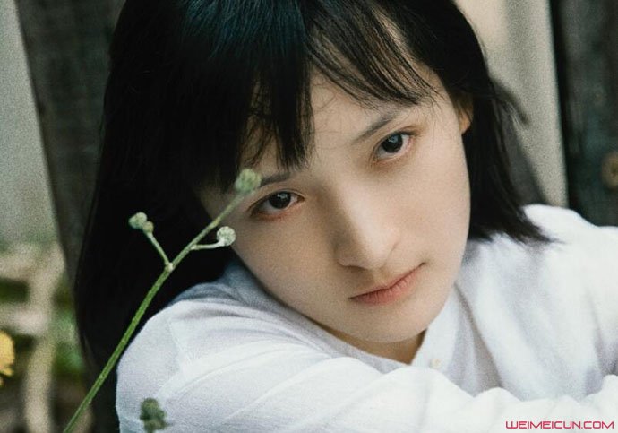 ����ɳ����ô������ ��ϸ���ϱ�����ױ����޵���