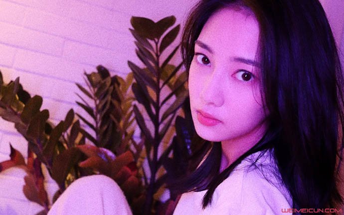 Ҷ�ɶ����ෲʲô��ϵ ����ţ����ײ�����������ع�