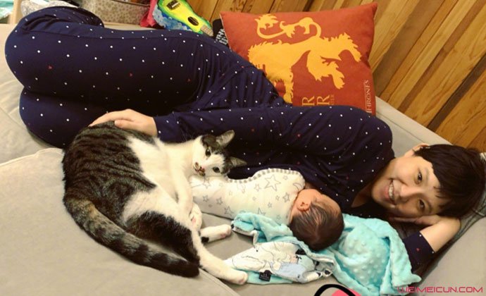 л��������̥ɹ���� ��̥�����ٳ�����һϸ�ں�ů��