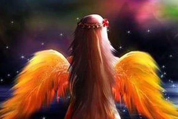 ���ɼҵ������������ ����û����Ҳ���ܳɷ�