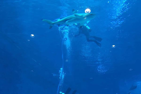 �100000���������� 68�ֻ��кܶ಻ȷ����û�˸�ȥ