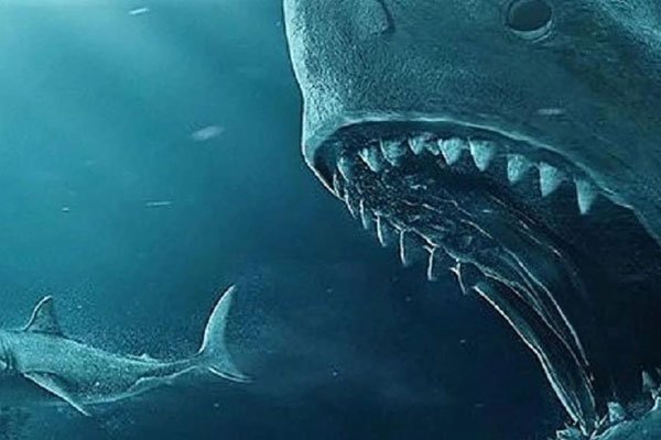 �100000���������� 68�ֻ��кܶ಻ȷ����û�˸�ȥ