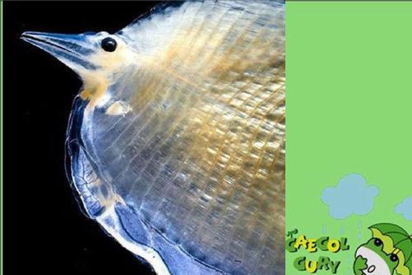 �100000���������� 68�ֻ��кܶ಻ȷ����û�˸�ȥ