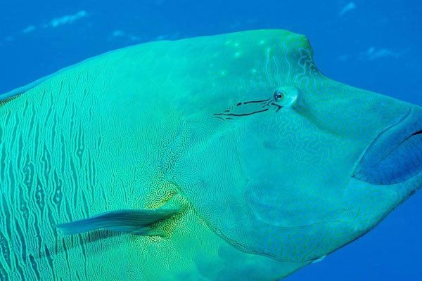 �100000���������� 68�ֻ��кܶ಻ȷ����û�˸�ȥ